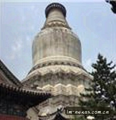 陈总
